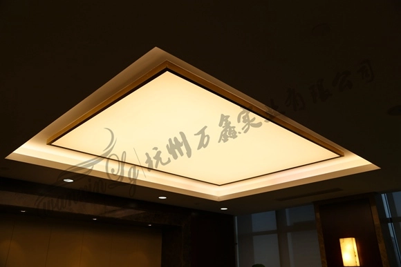 国家开发银行 办公室 定制 吸顶灯